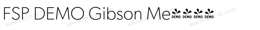 FSP DEMO Gibson Me字体转换 FSP DEMO Gibson Me字体转换